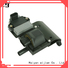 Wholesale lawn boy ignition coil factory For Renault