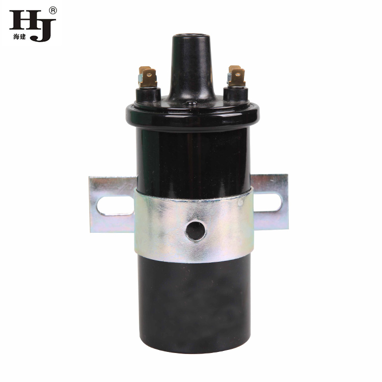 Haiyan oil in ignition coil Supply For car-1
