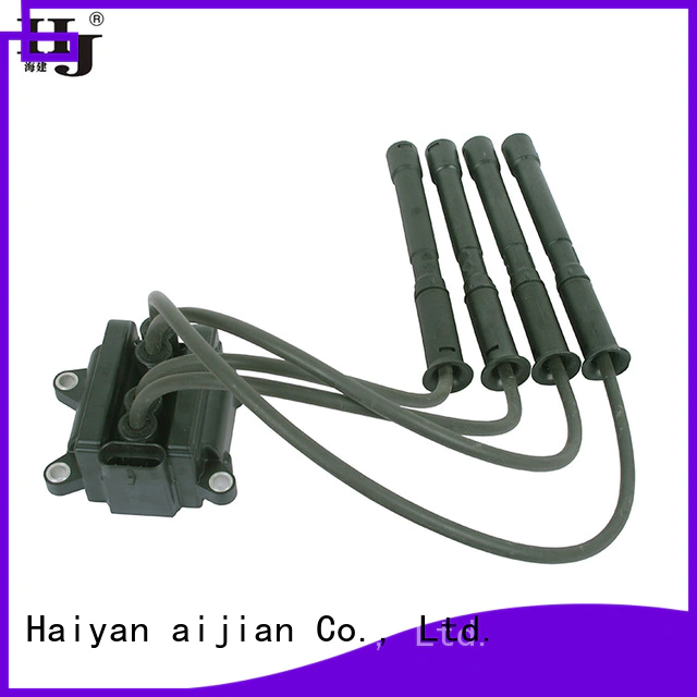 Haiyan Best car coil factory For Opel