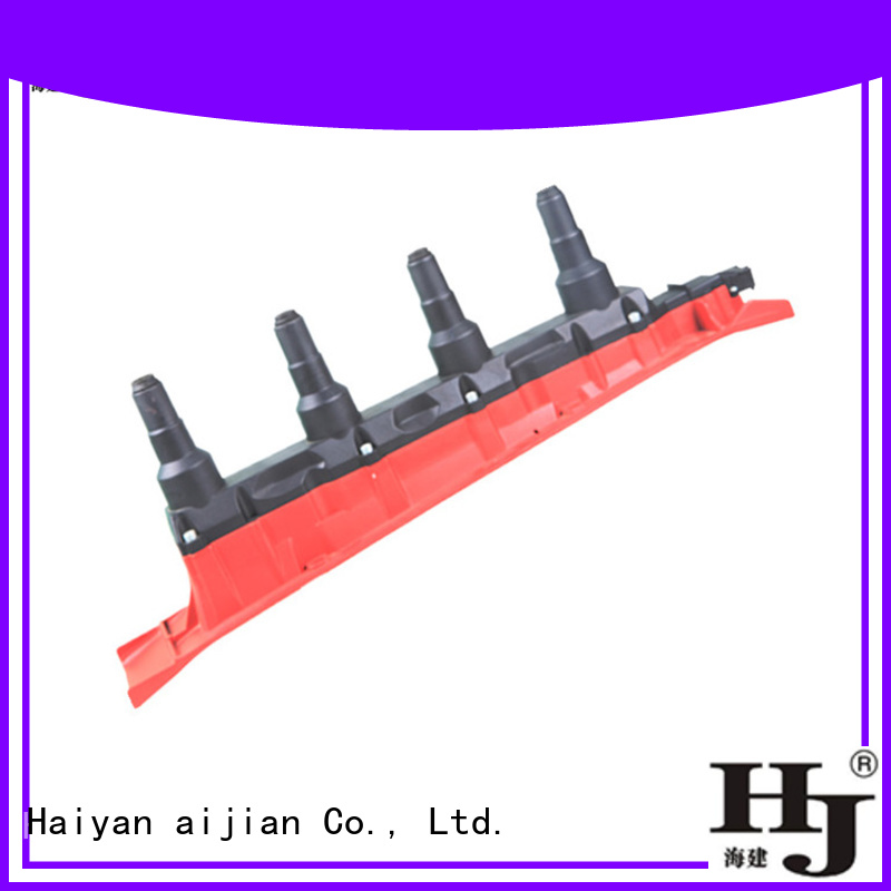 Haiyan negative side of ignition coil manufacturers For Toyota