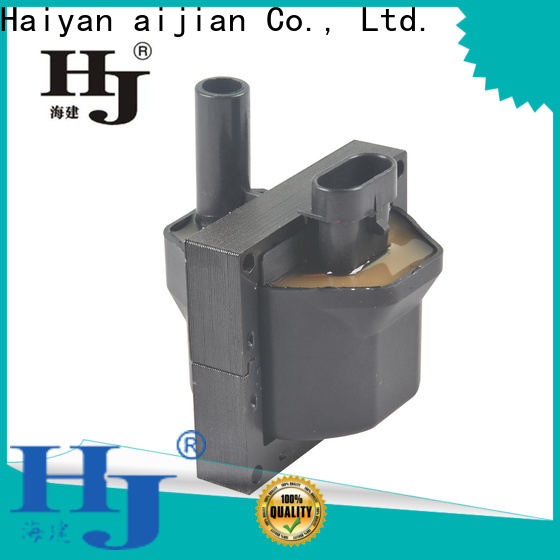Haiyan Best inductive ignition coil company For Opel