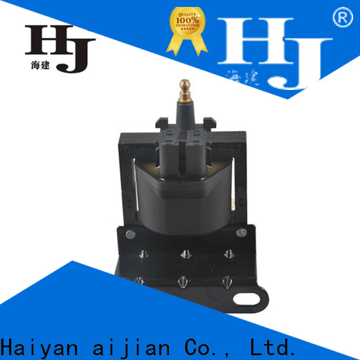 Custom two cylinder ignition coil company For Daewoo