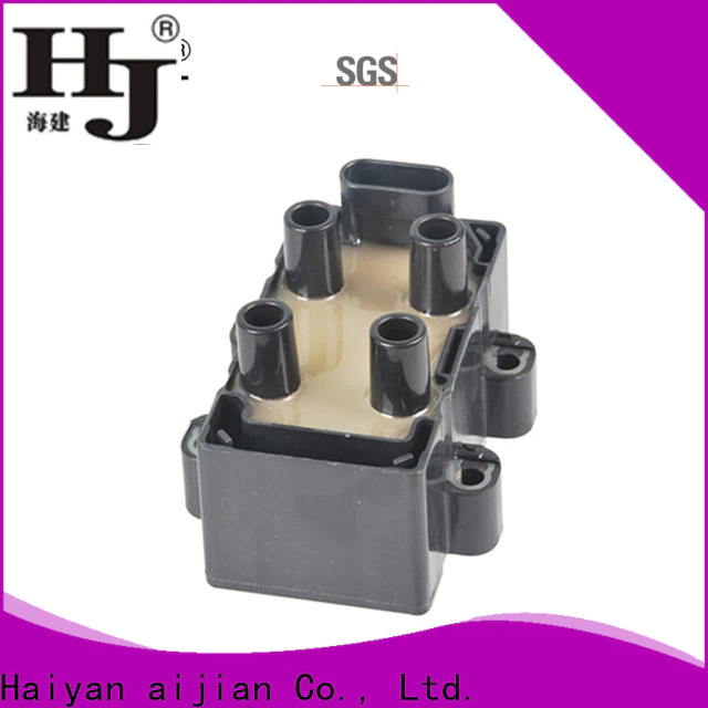 Haiyan Top how to fix ignition coil factory For Opel