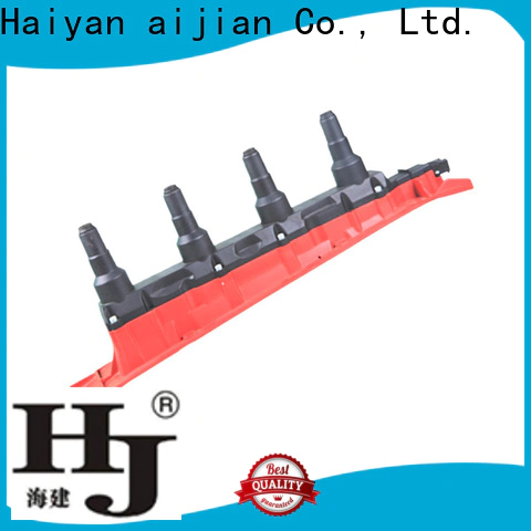 Haiyan Best automotive ignition coil company For Renault