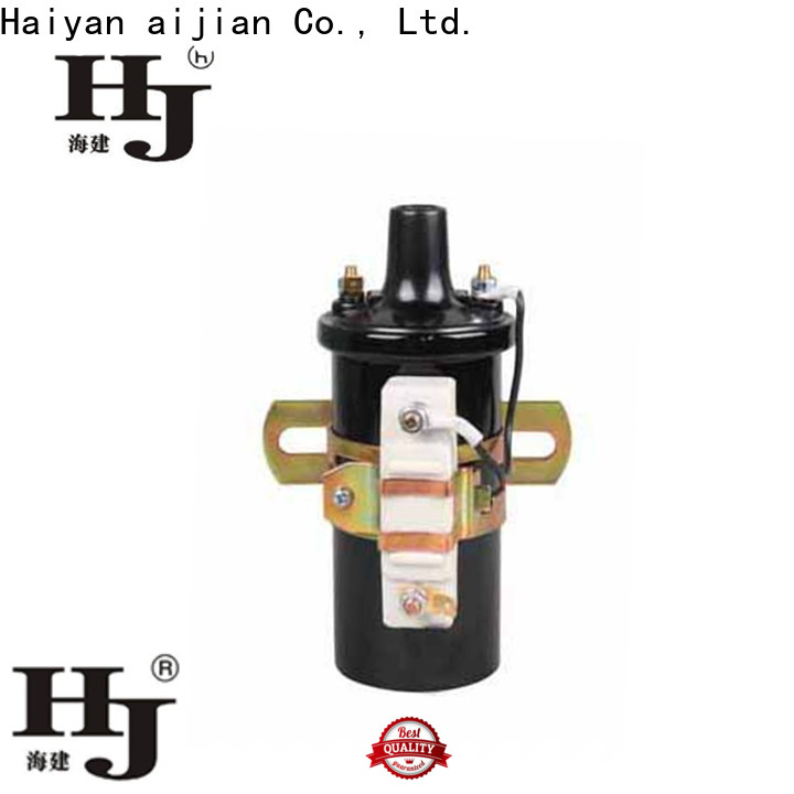 Haiyan 12 volt spark ignitor factory For Renault
