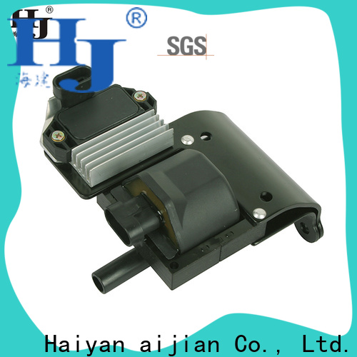 Haiyan Best ford f150 ignition coil test factory For Renault