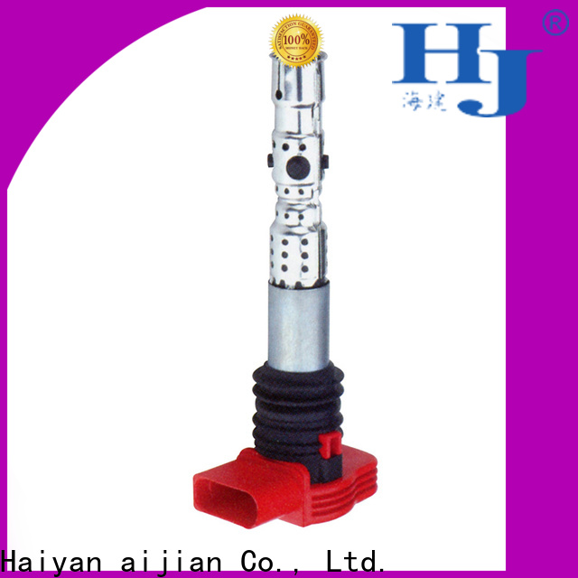 Haiyan Custom cop ignition coil company For Daewoo