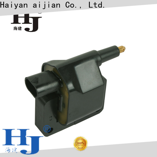 Haiyan ve ignition coils company For Hyundai