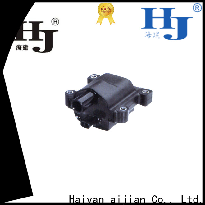 Haiyan Custom bmw spark plug coil company For Daewoo