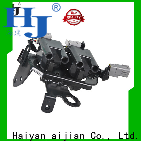 New car cylinder coil Supply For Opel