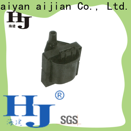 Custom johnson ignition coil factory For Renault