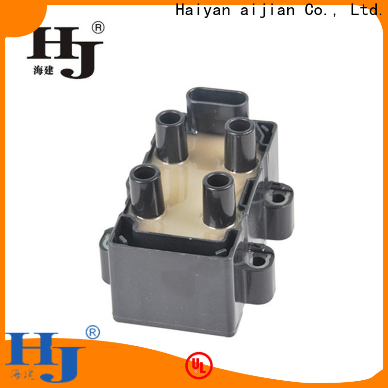 Custom standard t series ignition coil factory For Renault