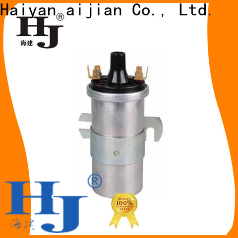 Custom spark plug coil company For Hyundai