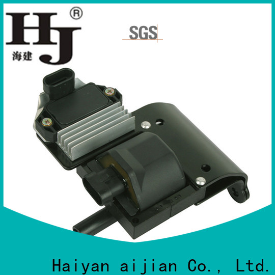 Haiyan Custom gm ignition coil company For Renault