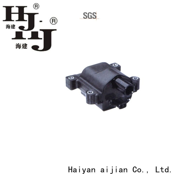Haiyan Top ignition coil 3 factory For car