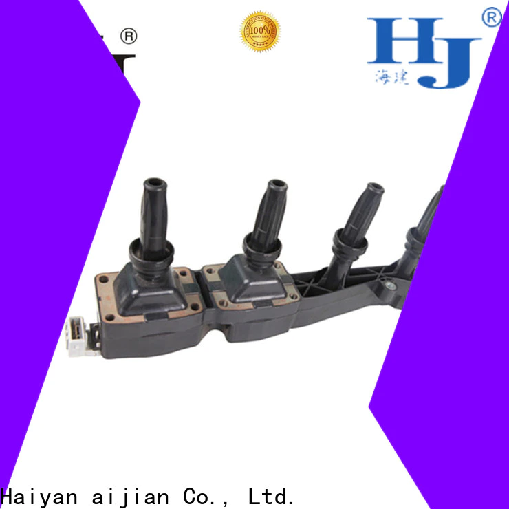 Haiyan Latest bmw ignition coil pack company For Daewoo
