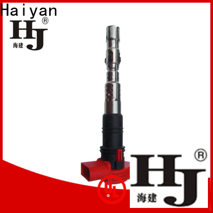 Haiyan Wholesale distributor coil pack factory For Hyundai