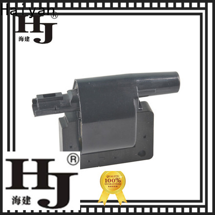 Haiyan New spark coil outputs factory For Renault