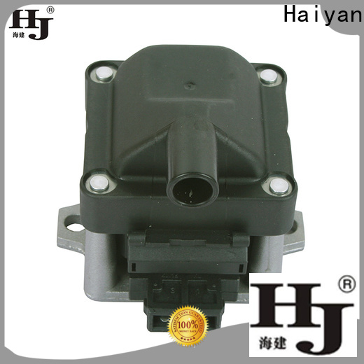 Haiyan spark plug coil cost Supply For car