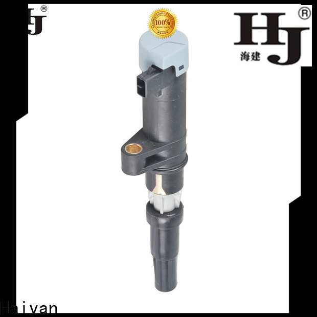 Haiyan ignition coil vs coil pack factory For Opel