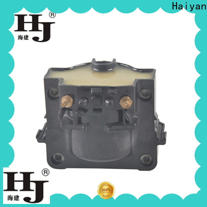 Haiyan New piston coil company For car