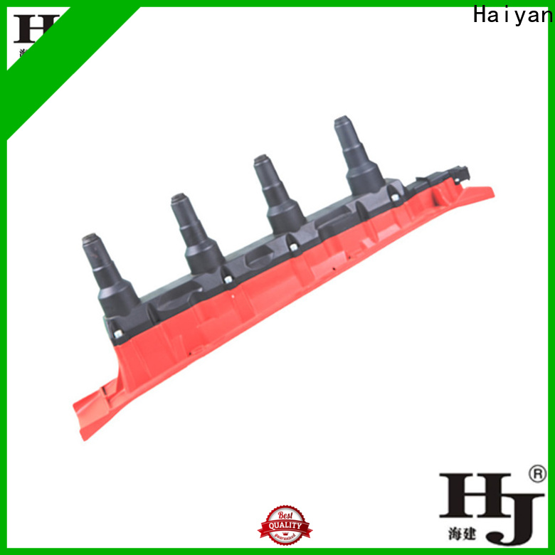 Haiyan High-quality ignition coil ford f150 Supply For Renault