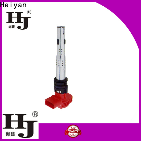 Haiyan Best small ignition coil company For Hyundai