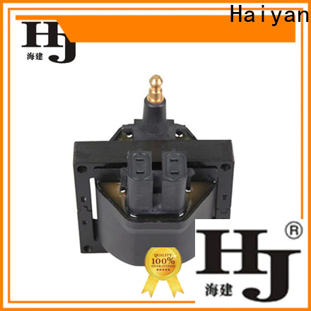Haiyan vehicle coil Suppliers For Renault