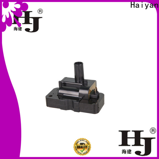 Haiyan Custom how much is the coil Supply For car