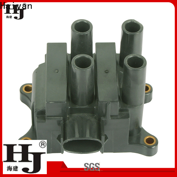 Haiyan Best racing ignition coil company For Hyundai