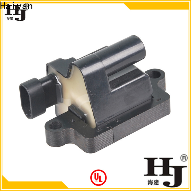 Haiyan fuel pump for business For Renault