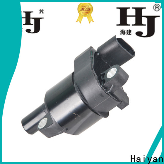 Haiyan vr6 ignition coil manufacturers For Renault