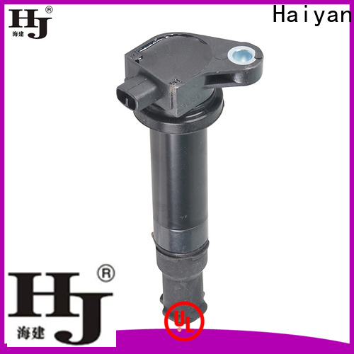 Haiyan Best standard t series ignition coil manufacturers For Daewoo