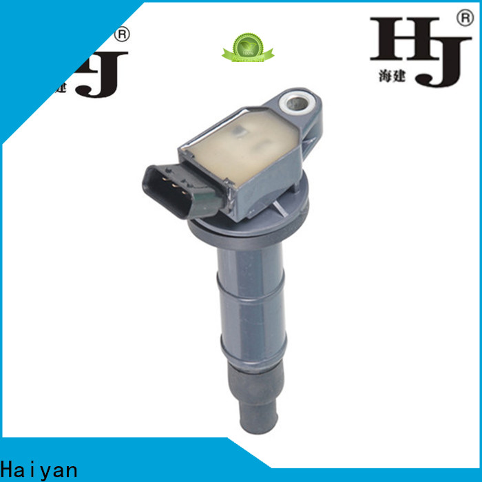 Haiyan discount ignition coil for business For Renault