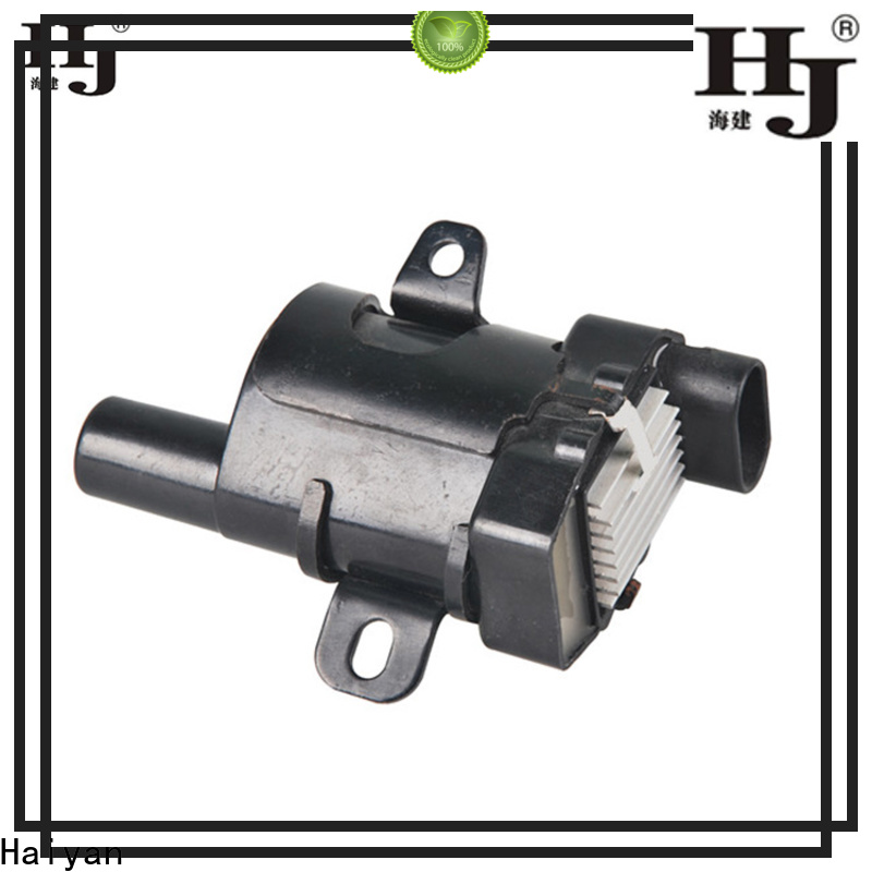 Haiyan Wholesale small engine coil manufacturers For Opel