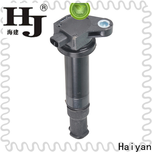 Haiyan spark plug coil Suppliers For car