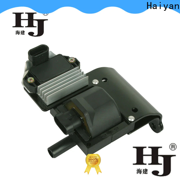 Haiyan Custom car ignition coil for business For Renault