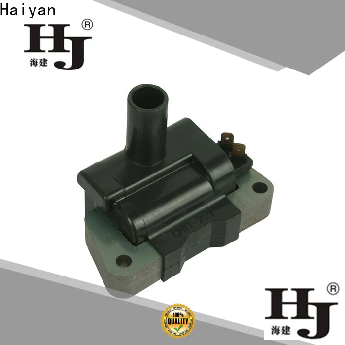 Haiyan Custom types of ignition coils company For Daewoo