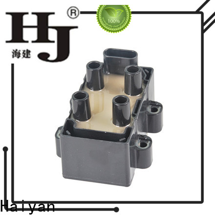 Haiyan Wholesale automotive ignition parts factory For Hyundai