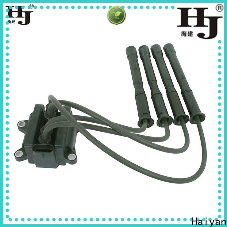 Haiyan Custom vehicle coil factory For Toyota