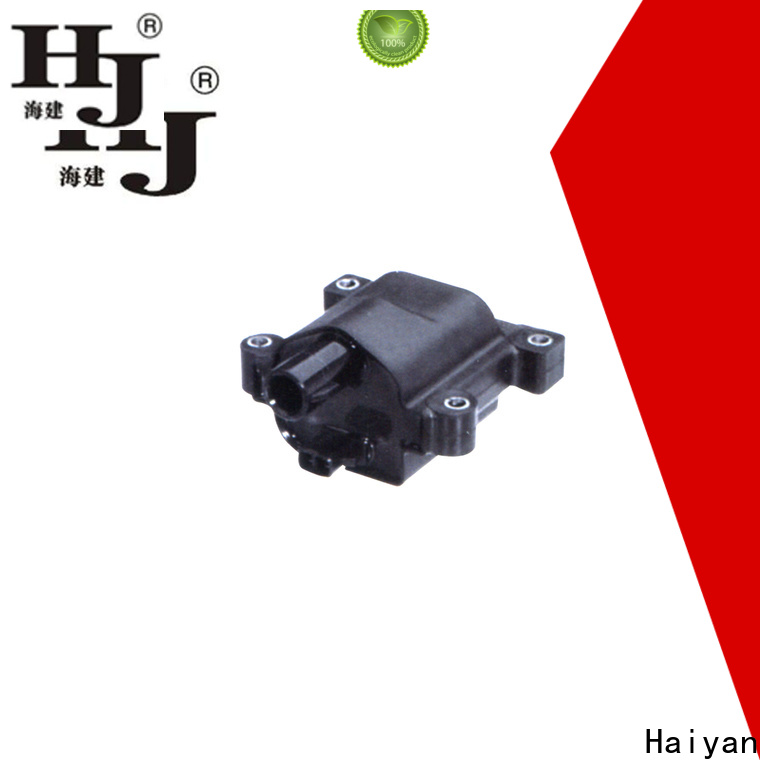 Haiyan Top ignition coil plug Supply For Renault