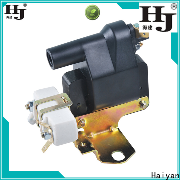 Haiyan High-quality car coils price company For Renault