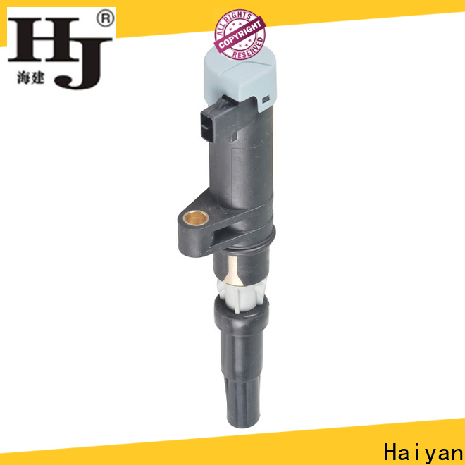 Haiyan Wholesale car ignition parts manufacturers For Renault