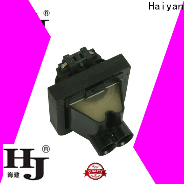 Haiyan Custom plug top ignition coil for business For car