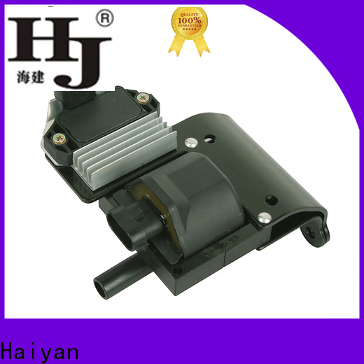 Haiyan Custom car parts coil for business For Renault