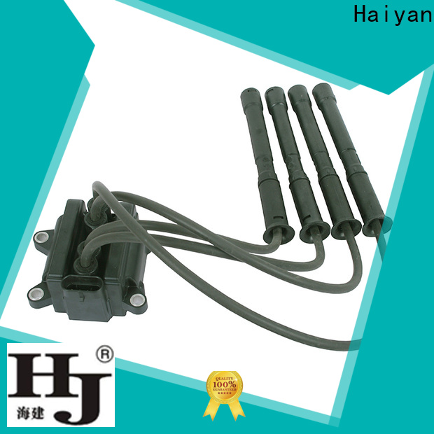 Haiyan coil car part company For Hyundai