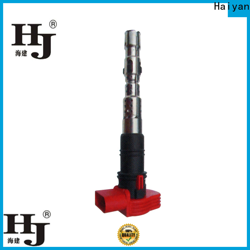 Haiyan oil in ignition coil manufacturers For Opel