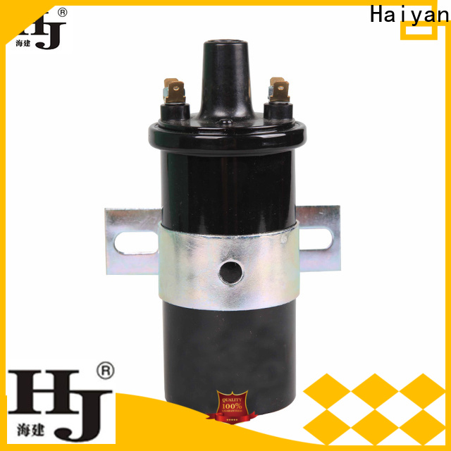 Haiyan auto ignition coils company For Daewoo