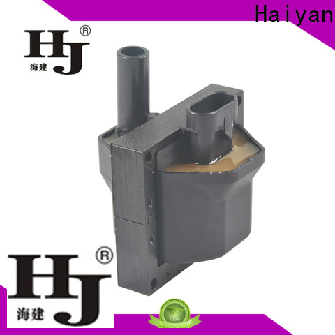 Haiyan auto coil pack for business For Hyundai