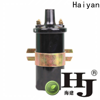 Haiyan Custom types of ignition coils for business For car